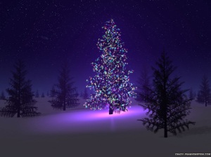 beautiful-christmas-tree2